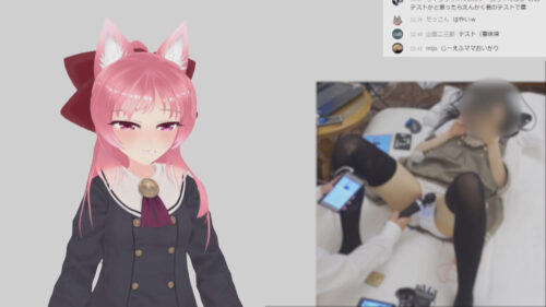 なたでこころさん006/エッチ配信の前の雑談配信のふりをした隠しエッチ配信 コスプレハード