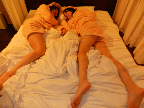 Li2MiHOLiC 秘密のカジツ　若林美保×倖田李梨 同人動画