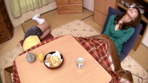 ボイン大好きしょう太くんのHなイタズラ 妃乃ひかり