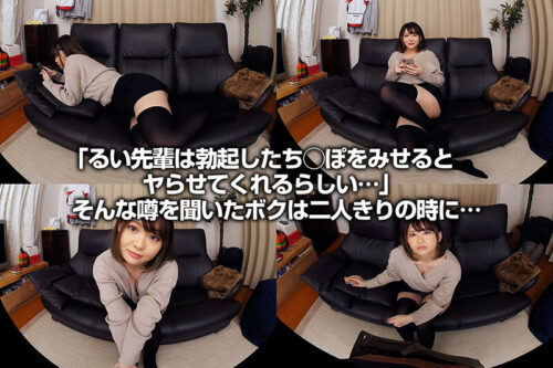 VR: Testing the Rumor with Otokoto Rui