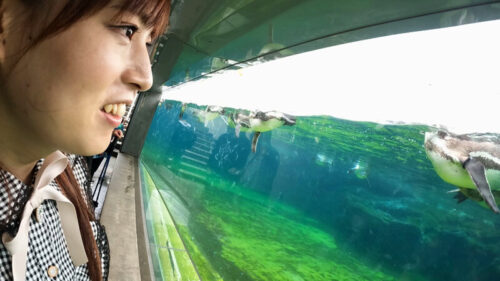 Lovey-Dovey Date with Chibi Tori