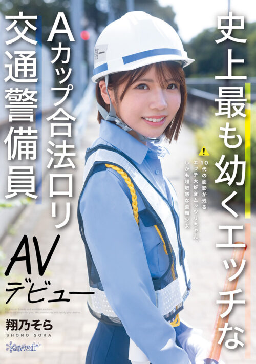 日本一賢い大学史上最も華奢ドスケベなインテリ変態少女 理性吹き飛びAVデビュー T●大学文科●類 美術サークル所属 白鳥怜