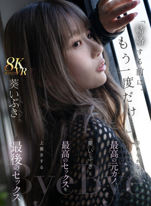 【VR】ずっと我慢してきたのに…たった一度の過ち 担任教師でありながら発育盛りな生徒の誘惑に勝てなかった僕は放課後ラブホで精子枯れ果てるまで吐精し続けたーー。 葵いぶき