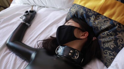 僕の彼女はキャットスーツマニア Vol.6 コスプレハード