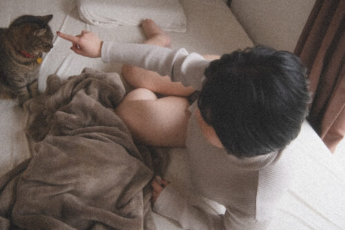 部屋、猫、私。２ 同人動画