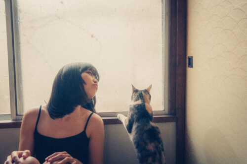 部屋、猫、私。 同人動画