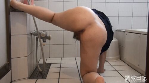 **ドキュメンタリー　心身共に私の虜になっているので、私がしたくなったら何時でも呼付けに命じ、雄犬放尿や異物浣腸排泄等、どんな羞恥や汚染的な事でも受入れる、性欲処理的奴〇人妻　冬子 同人動画