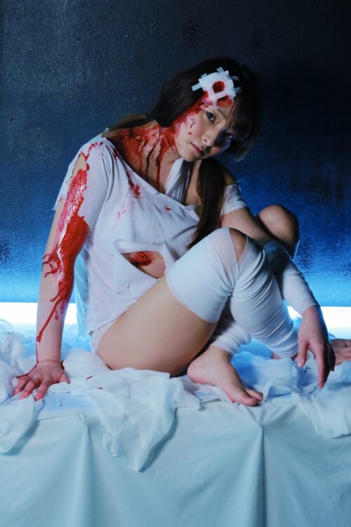 issue of blood 琴乃 同人動画