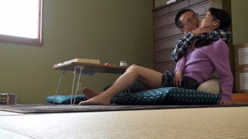 Voyeur Footage: Sweaty Sex! Forbidden Passionate Affair Vol.2