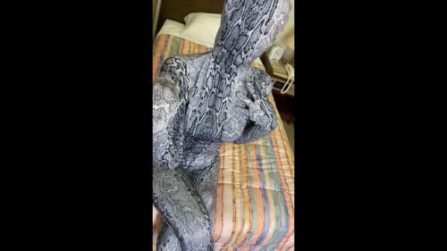 ★着ぐるみ遊び★vol.15 コスプレハード