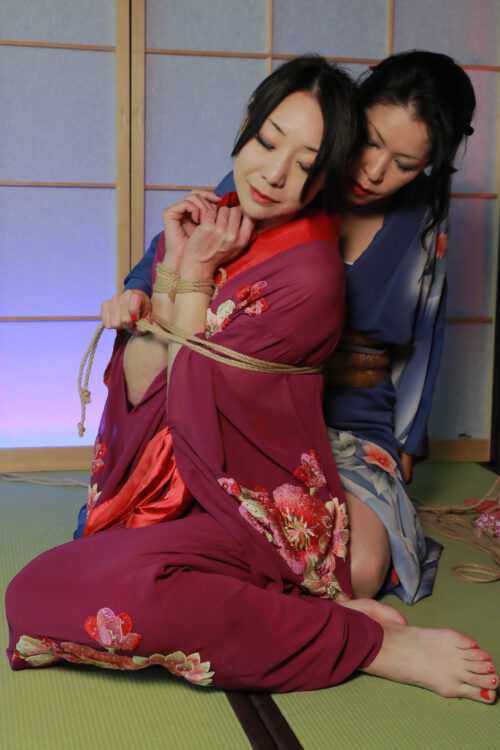 緋牡丹博徒 若林美保×飛室イヴ 同人動画