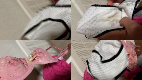 【盗撮】実家暮らしの『姉』の洗濯カゴの服・下着・染みパンをチェック？ 同人動画