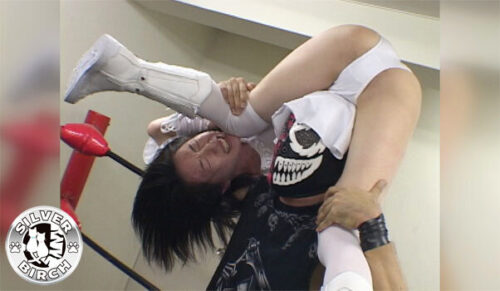 Sexy Idol Pro Wrestling MIXED VOL.0