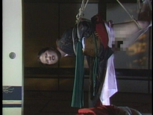 Aesthetic Japanese Dress: Passion in Conflict - Essential Best 2