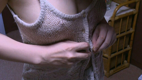 日本の夏ポルノ 故郷（ふるさと）その2 汗と吐息と劣情と