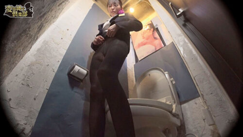 Premium Airline Flight Attendants: Best Hits Collection