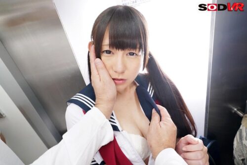 【VR】超リアル 電車痴● 2