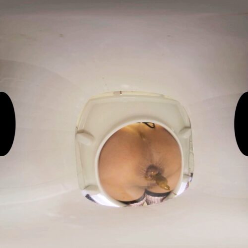 【VR】【VR高画質】M男を人間便器にして楽しむゲロスカ女子倶楽部 妖湖女王様