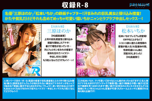 【VR】【全部HQ超高画質】プレミアムから感謝を込めて初VR総決算BESTを贈ります！長尺500分ぜんぶSEX！ 専属・ハーレム・あるあるシチュエーション・非日常企画まで「結構いいじゃん！」が詰まった凝縮25作品！