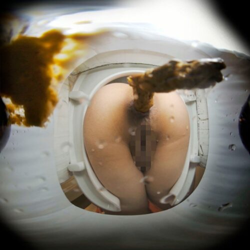 【VR】【VR高画質】M男を人間便器にして楽しむゲロスカ女子倶楽部 美らかのん