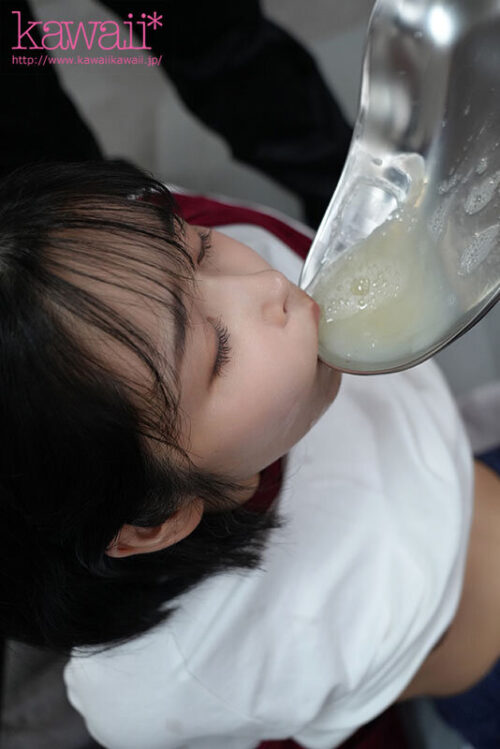 委員長は白く汚されたい～制服美少女の変態妄想ザーメントランス～濃厚ドロドロ大量精液ネバスペ 怒涛の大乱交ぶっかけ59発 日向なつ