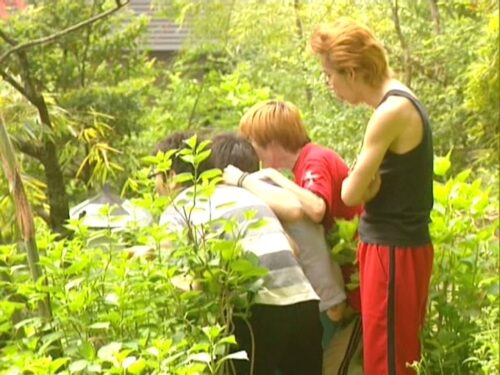 実写版 まいっちんぐマチコ先生 Let’s！臨海学校