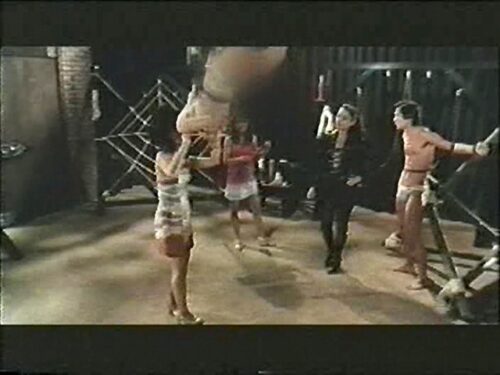 白日夢 2（1987）