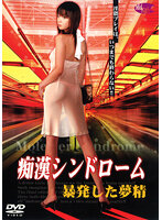 白日夢 2（1987）