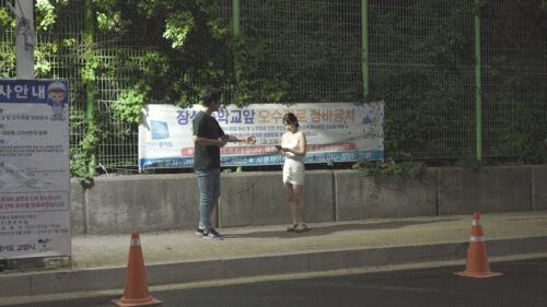 艶事探偵 拉致られた女