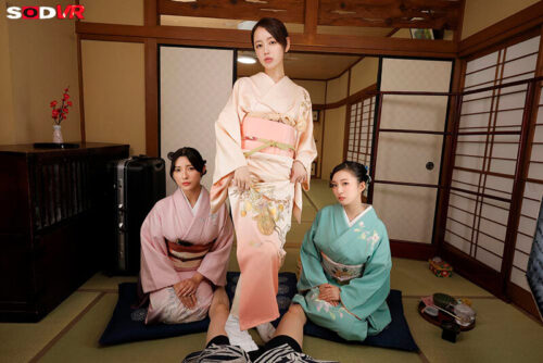 【VR】【8K】罵倒旅館 ～美人女将の暴言・見下し・蔑みサービスで極上の射精地獄～