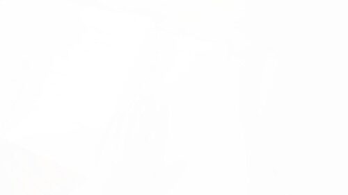 純白奏（じゅんぱくそう） 三葉ゆあ