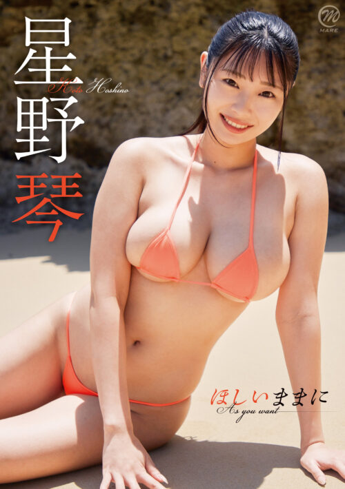 ほしいままに 星野琴