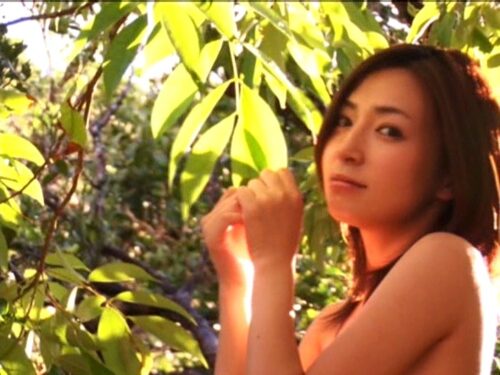 ではっ！～めぐるメモリーズ～ 石井めぐる