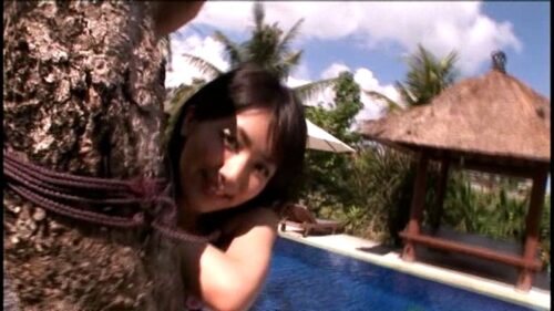 Amaryllis 石原あつ美