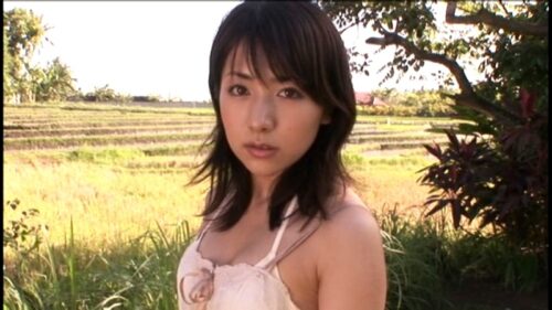 Amaryllis 石原あつ美