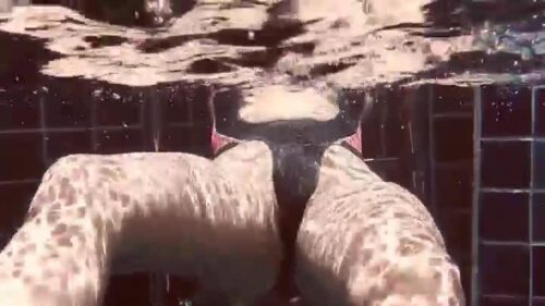 君とかなんの課外授業 神宮寺かなん