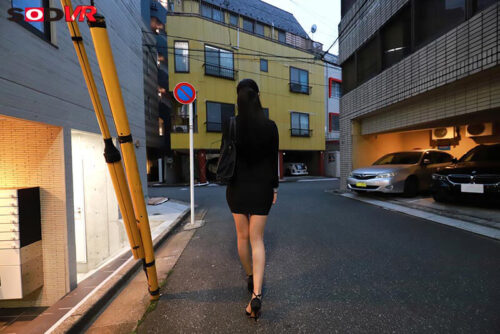 【VR】【8K】就活女子大生 追跡レ×プVR 「夢も希望も全部ブチ壊し人生終了」闇堕ちオナホ肉便器!!!