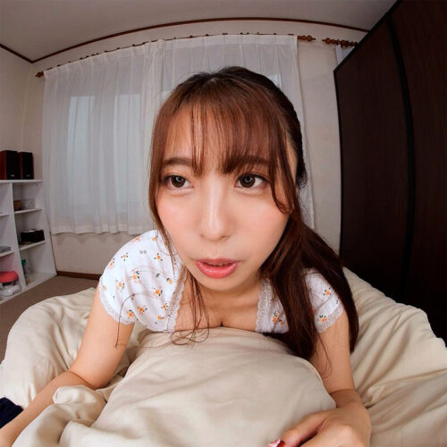 【VR】バーチャルダイブ 誰もが羨ましがる俺の嫁 樹智子