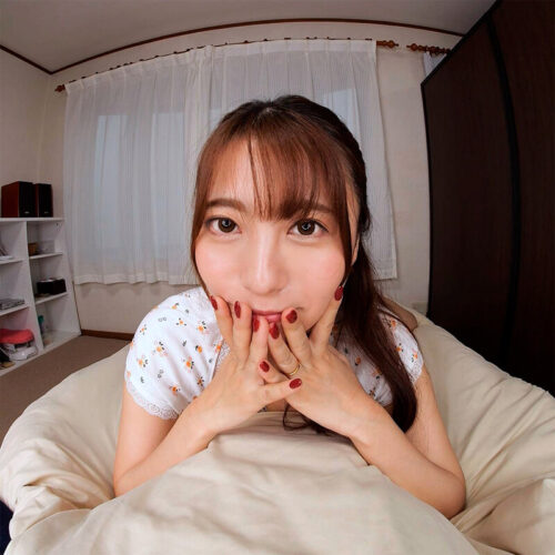 【VR】バーチャルダイブ 誰もが羨ましがる俺の嫁 樹智子