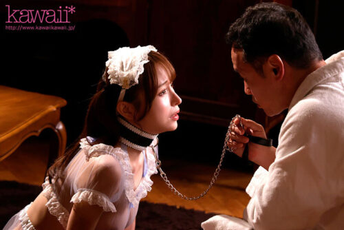 性処理ペットでも、肉オナホでも、ご主人様の命令とあらば完全合意で全力ご奉仕するドMボディメイド 伊藤舞雪