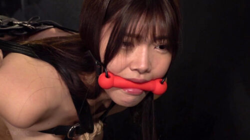 どS傲慢社長令嬢 奈落の美肉奴破壊 美木ひなの