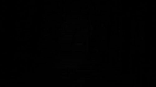 流線型ボディ 真木しおり