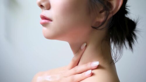 まつりに連れてって！ 後藤まつり