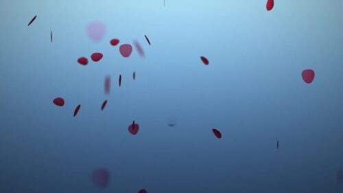 孤独の忘れ方 沢地優佳